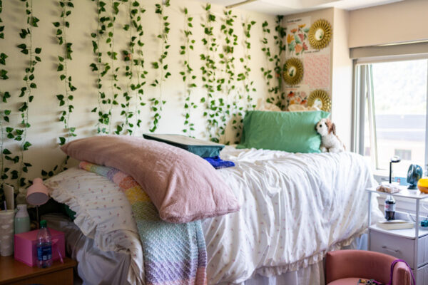 A decorated residence hall room with a twin bed and desk place near a window.